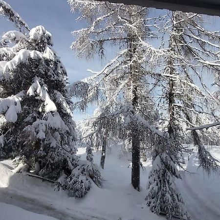 诺支Trento, Monte Bondone, Casa Tipica Di Montagna公寓 外观 照片