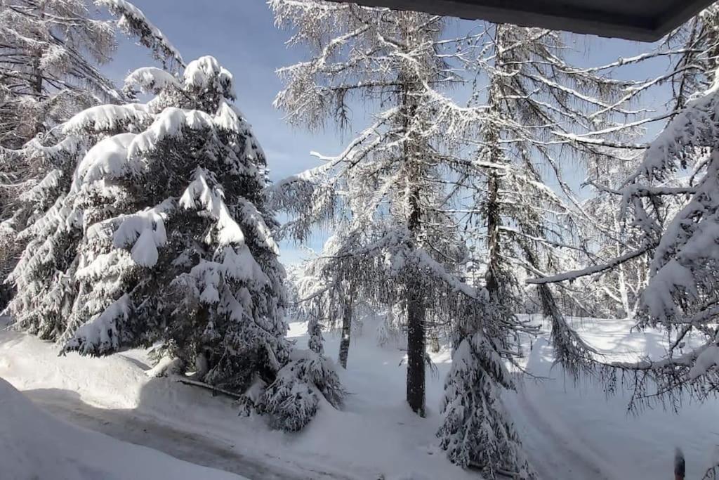 诺支Trento, Monte Bondone, Casa Tipica Di Montagna公寓 外观 照片