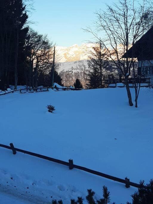 诺支Trento, Monte Bondone, Casa Tipica Di Montagna公寓 外观 照片